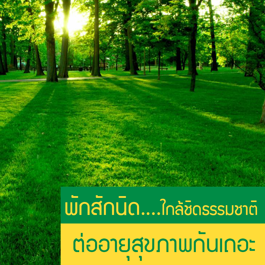 หางาน,สมัครงาน,งาน,พักสักนิด ใกล้ชิดธรรมชาติ ต่ออายุสุขภาพกันเถอะ....