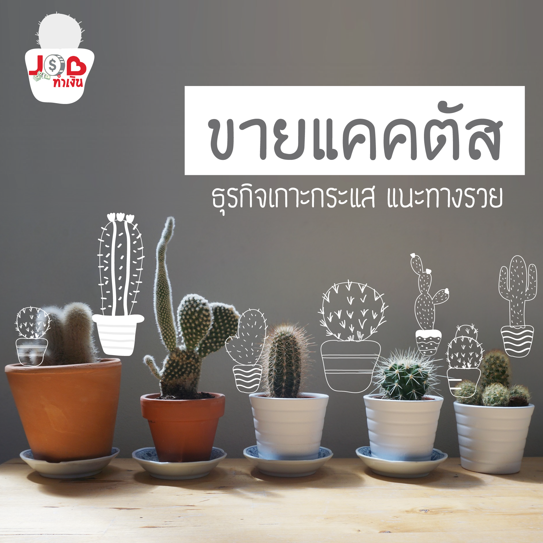 หางาน,สมัครงาน,งาน,JOB ทำเงิน - ขายแคคตัส ธุรกิจเกาะกระแส แนะทางรวย