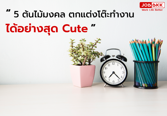 หางาน,สมัครงาน,งาน,5 ต้นไม้มงคล ตกแต่งโต๊ะทำงานได้อย่างสุด Cute